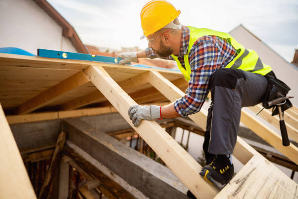Roof Gutter Cleaning in Oak Park, IL