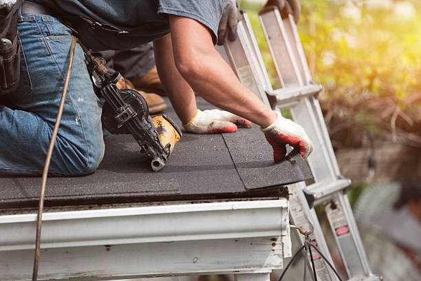 Best Roof Gutter Cleaning  in Oak Park, IL